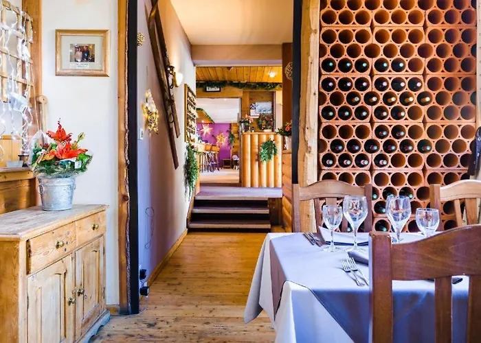 Hotel Plein Sud By Skilink